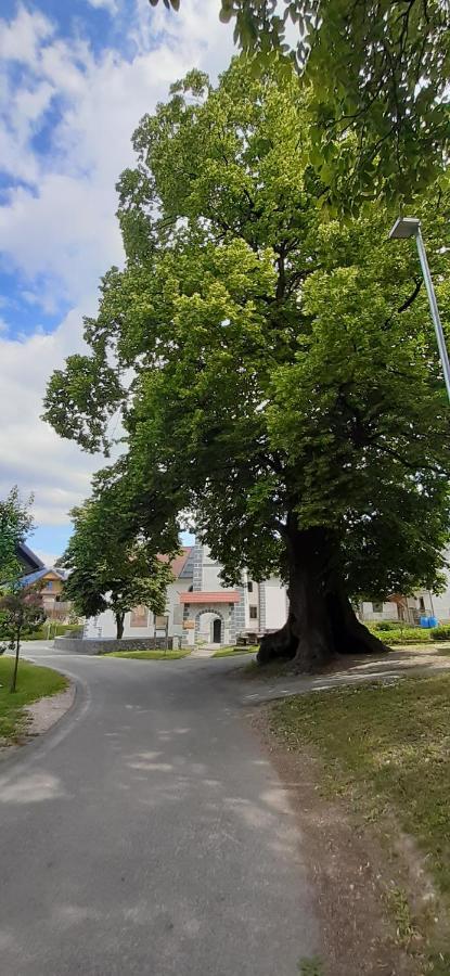 Apartmaji Mojca Casa de hóspedes Križe Exterior foto